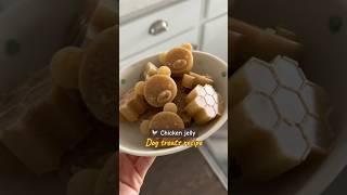 Chicken jelly dog treat recipe!