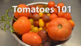 Tomatoes 101