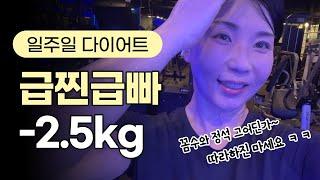 [VLOG]급찐급빠_스위치온 다이어트로 꼼수 좀 부려봤어요~ 따라하지 마세요 ㅋㅋ