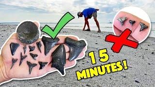 THE BEST Method to Find Shark Teeth on the Beach!! (Professionally Tested & Approved!)