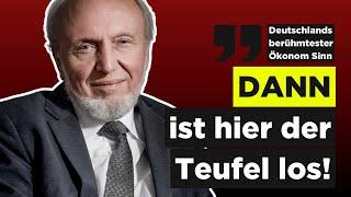 Es DROHEN Verteilungskonflikte zwischen Jung und Alt / AKTIEN + IMMOBILIEN schützen/Hans-Werner Sinn