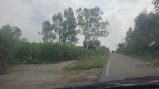 19 Acre land with safedda  tubewell connection  mottor  for sale in hoshisrpur 9316167007