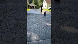 The Shocking Truth  Behind Your Crumbling Driveway! ️ #asphaltcare  #crackfilling ️  #driveway