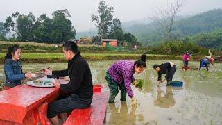 How To Grow Rice In The Traditional Way - Cuong Ngan Prepares For New Rice Crop. Live With Nature