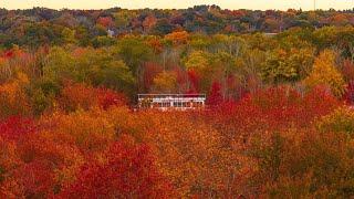 Fall Foliage at Bridgewater State University