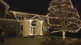 How to keep pests out of holiday lights