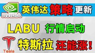 美股 英伟达策略更新 ！LABU行情启动！特斯拉还能涨！个股分析: NVDA TSLA LLY ULTA NFLX GOOG DIS WMT BAC INTU MSFT LABU META IBM