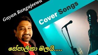 Sepalika Malai |සේපාලිකා මලයි | Cover Song | Siyasara