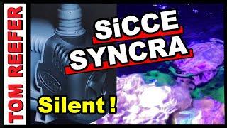 Reef Tank - SICCE SYNCRA SILENT 1.5 UNBOX And REVIEW -  WATER CHANGE WEDNESDAY #5 Q/A