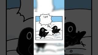 How Crows Celebrate Christmas #cute