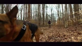 Epic Dog Training Video! Dog Tracking Classes Richmond | Richmond Dog Tracking Lessons!