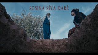 Sosina Siya Darê - Mehmûd Berazî  | Official Music Video © 2024