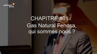 Chapitre 1 - Gas Natural Fenosa, qui sommes-nous ?