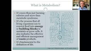 Metabolism, Mental Disorders, and the Ketogenic Diet