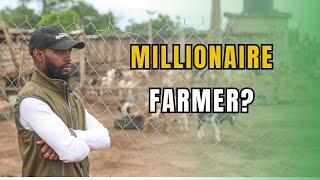 HOW Are African Farmers Making Millions From farming?