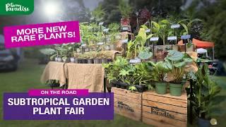 3 RARE PLANTS discovered at Subtropical Garden Plant Fair