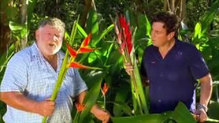 The Garden Gurus - Heliconia and Tropical Ginger