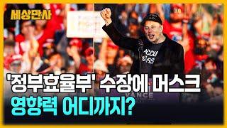 '정부효율부' 수장에 머스크…영향력 어디까지? [세상만사] #일론머스크 #트럼프 #정부효율부