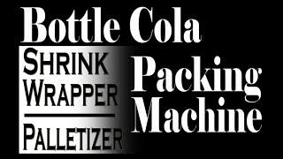 Shrink Wrapper and Stacking Palletizer | Bottle Cola Packing Machine | Young Chance Pack