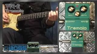 BOSS TR-2 Tremolo [BOSS Sound Check]