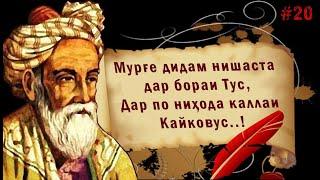 Умари Хайём, Рубоиёт = Мурге Дидам Нишаста Дар Бораи Тус | Омар Хайям, Рубаи На Фарси | خیام رباعیات