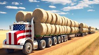 How Big Is US Agriculture? American Farming