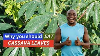 8 BENEFITS of CASSAVA LEAVES / Earth's Medicine