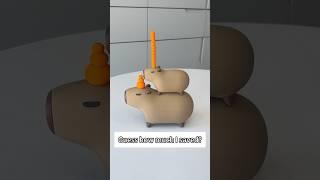 How much did I save in total?#capybara #cute #gift #funny #new #ornaments #3dprinting