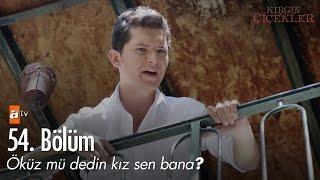 Öküz mü dedin kız sen bana? - Kırgın Çiçekler 54. Bölüm - atv