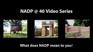 NADP@40: Mashup