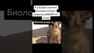 хих это школа #memes