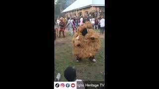 Igbo Masquerade dances ichaka during cultural festival | Igbo Heritage TV