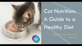  What is Cat's Nutritional Diet: The Feline Nutrition 