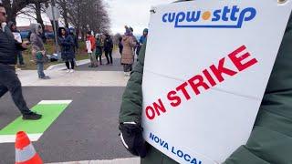 Purolator, UPS pause shipments from couriers amid Canada Post strike