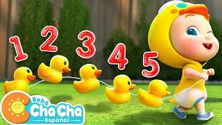 Cinco Patitos | Aprender Números del 1 al 5 | Bebé ChaCha Canciones Infantiles & Videos para Niños