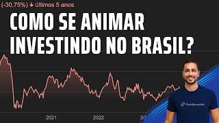 Como se manter animado INVESTINDO no BRASIL? 