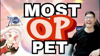 Overpowered Pet! | Ragnarok Origin Global