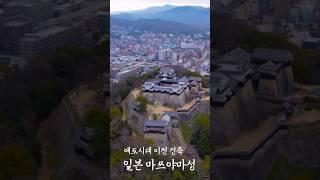 일본 애도시대 이전 건축된 천수를 갖고 있는 성곽중 하나. #미쓰야마성