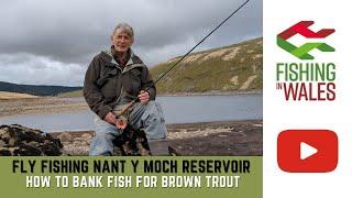 Fly Fishing Nant-y-Moch Reservoir Wales - HOW TO bank fish for WILD BROWN TROUT using Wet Flies