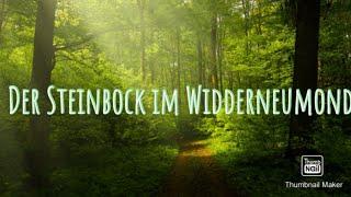 Der Steinbock im Widderneumond ️