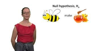 Null and alternative hypotheses with Lindsey Leach