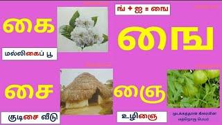 உயிர் மெய் எழுத்துக்கள்|கை ஙை வரிசை|tamil ezhuthukkal