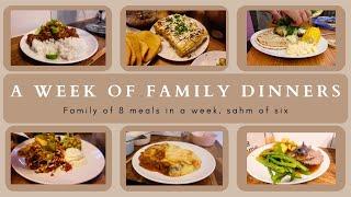 WEEK 60| FAMILY DINNERS OF THE WEEK | family of eight, evening meal ideas, meal plan