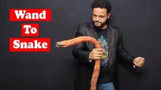 Wand To Snake