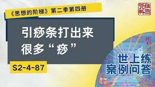 S2 4 87  引痧条打出来很多”痧“《思想的阶梯》第二季 第四册  细雨问答 世上练 案例 #问答  #细雨资料 #细雨著作 细雨社