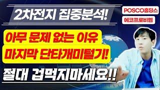 2차전지 집중분석 미국시황!에코프로,에코프로비엠,포스코퓨처엠,POSCO홀딩스,금양(포스코DX/삼성SDI/LG화학/트럼프/관세)삼성전자/LG전자/불사조/2차전지 주식