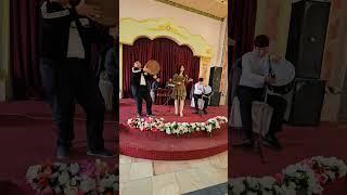 #tiktok #duet #farg #part3 #sarvinoz #live #wedding #rek  #svadbauz #uzbwedding #россия #gapyoq