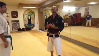 Isshinryu Seisan Kata bunkai  Javier Martinez