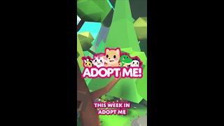 Everything you need to know about the new Camp Shop, coming to Adopt Me TOMORROW! 