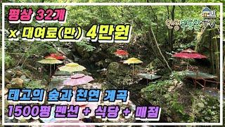 태고의 숲과 천연 계곡을 가진 임야 1500평 + 펜션 + 식당 + 매점 매매 ! 평상 32개 대여료 4만원 여름수익